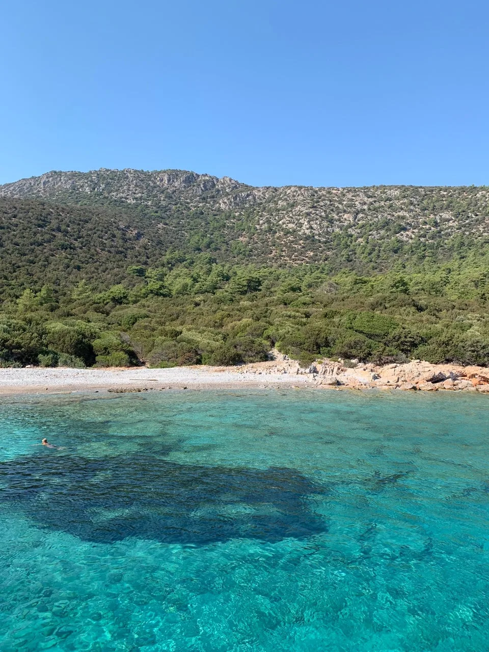 poyraz bay